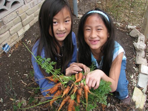 Here are Cherry and Coco with their carrot crop.