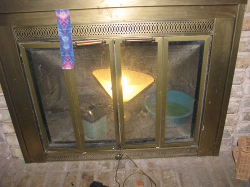 fireplace1