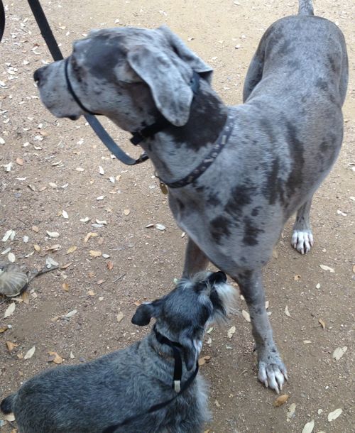 monochromatic friendship3