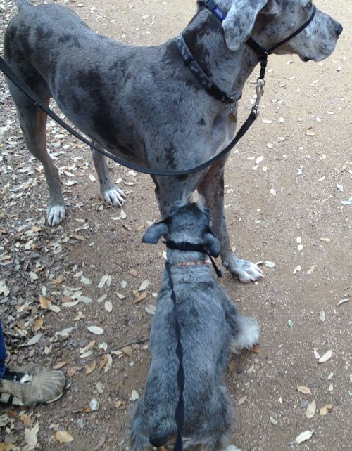 monochromatic friendship4